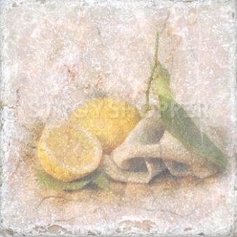 Плитка Cir Marble Style Inserto Tradition S/3 (Лимон) 151264-12-5912-2